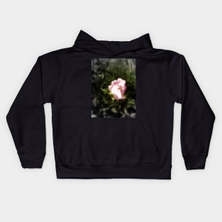 old-fashioned roses by Fox Creek & Columbia River 5 Kids Hoodie